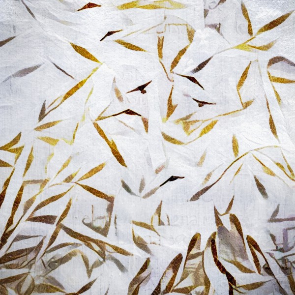 Flock of Birds by Bruce Rolff